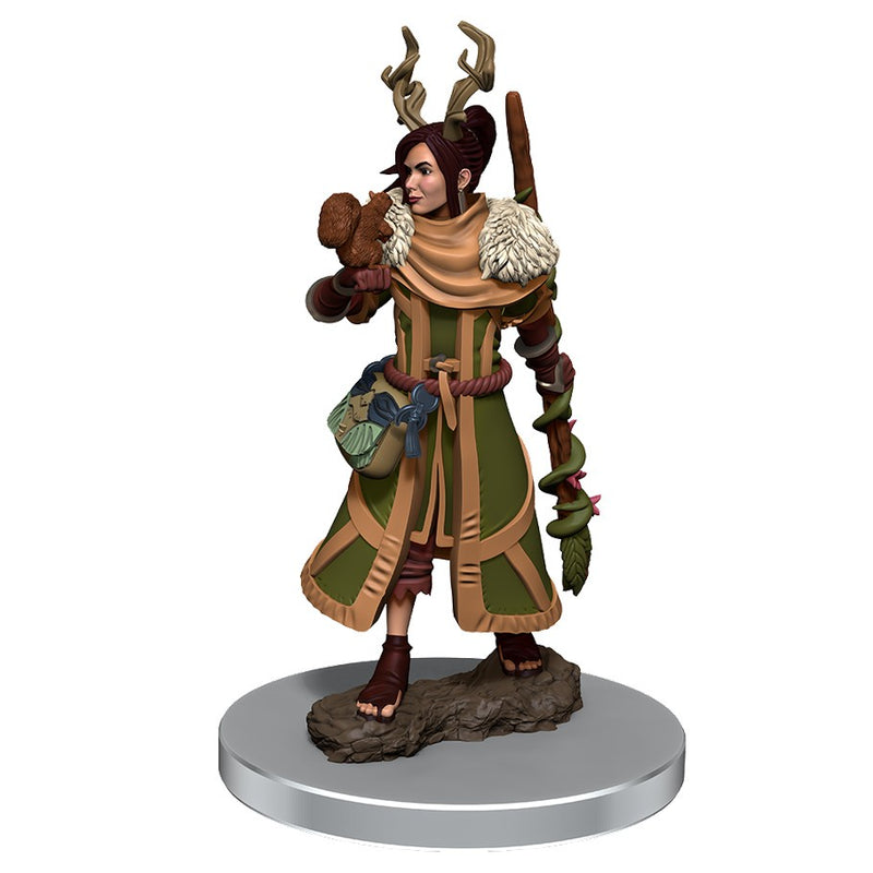 D&D Miniatures: Icons of the Realms - Premium Figure: Wave 07 - Female Human Druid