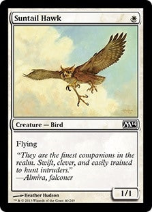 Suntail Hawk (M14-C)