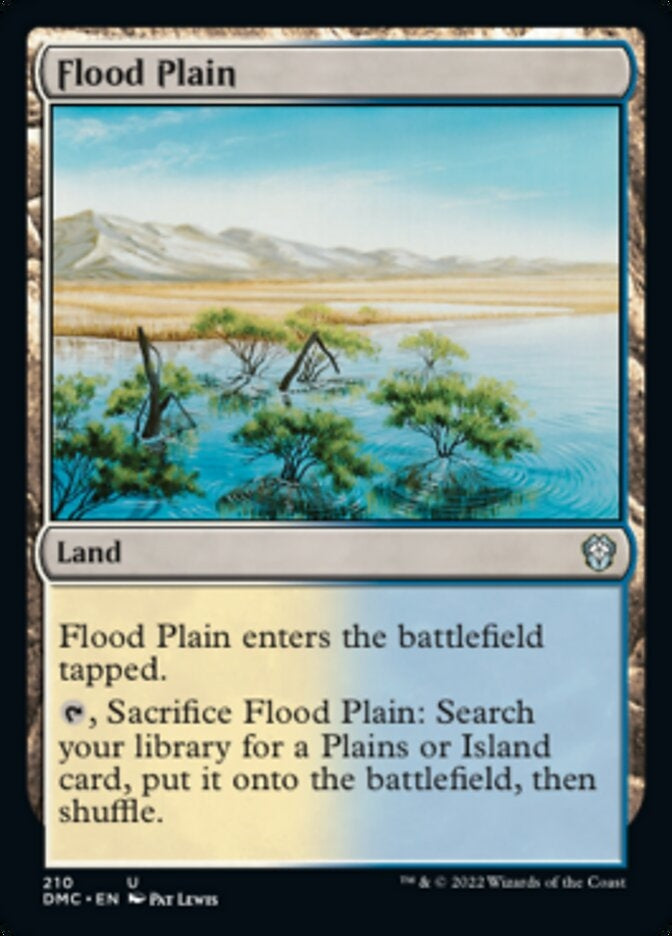 Flood Plain [#210] (DMC-U)