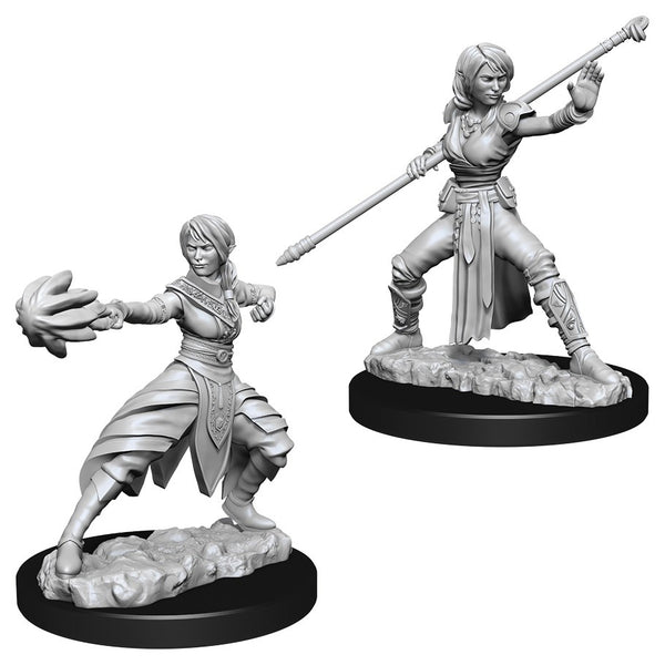 D&D: Nolzur's Marvelous Miniatures - Female Half-Elf Monk W10