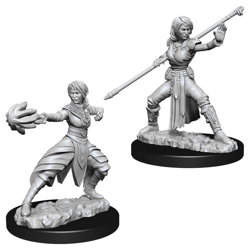 D&D: Nolzur's Marvelous Miniatures - Female Half-Elf Monk W10