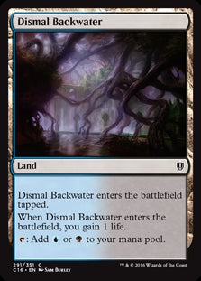 Dismal Backwater (C16-C)