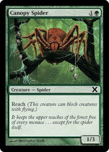 Canopy Spider (10E-C)