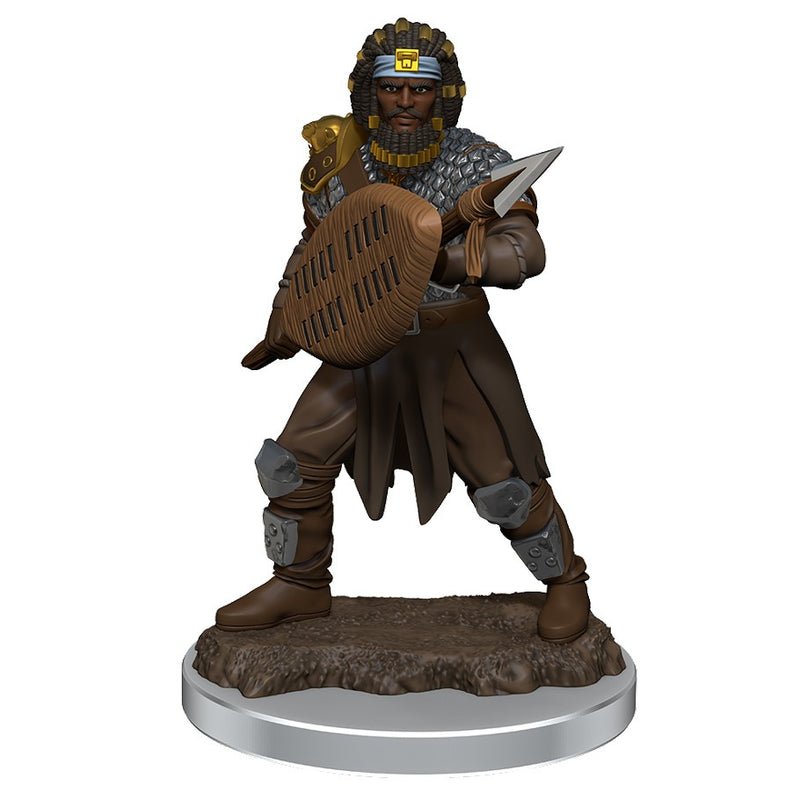 D&D Miniatures: Icons of the Realms - Premium Figure: Wave 07 - Male Human Fighter