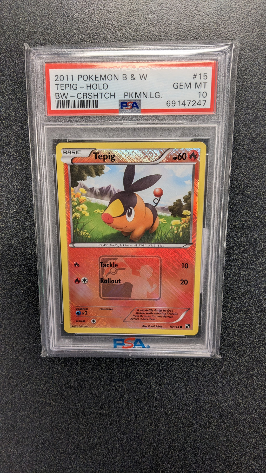 tepig pokemon card holographic Tepig (15/114) (Graded