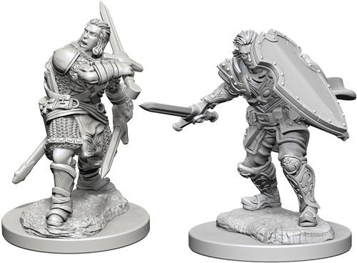 D&D: Nolzur's Marvelous Miniatures - Human Male Paladin W03 (OOP)