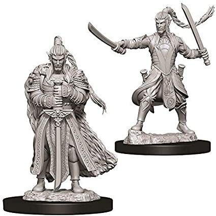 D&D: Nolzur's Marvelous Miniatures - Male Elf Paladin (73707)